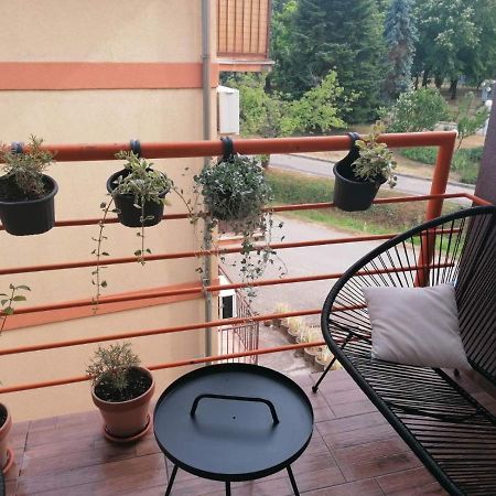 Koko Apartman Врнячка-Баня Екстер'єр фото