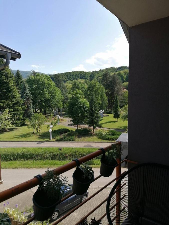 Koko Apartman Врнячка-Баня Екстер'єр фото